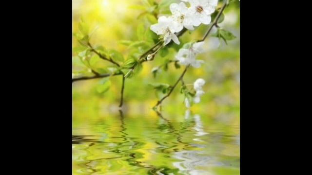 #занимаемсядомасАлёнойСергеевной #маминпраздник #пойтевсейсемьёй #повторялочка#музыкадома #пойсомно