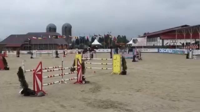 кск конаковские конюшни шейх 1 смотреть онлайн