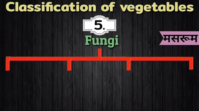 Types Of Vegetables || Classification Of Vegetables! смотреть онлайн