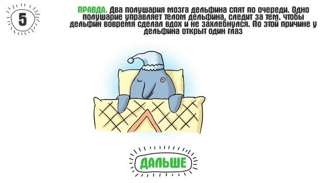 Правда или Вымысел (игра для Android, iOS, Windows, VK) смотреть онлайн