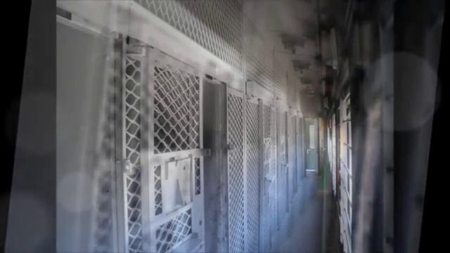 Вера Верба - Стук колёс муз. В. Верба, сл. А. Шишанов смотреть онлайн