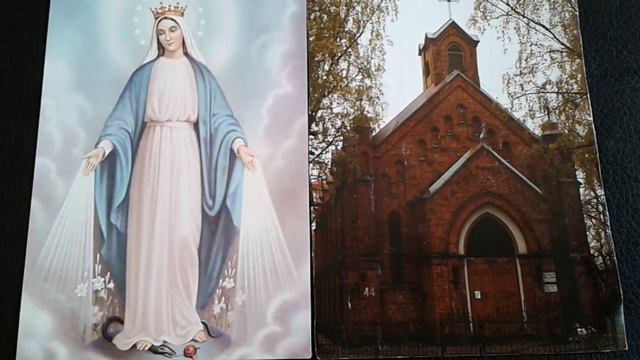 Ханс Андре Штамм, 