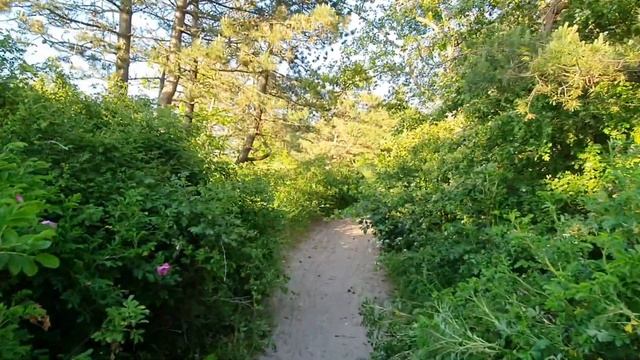 4К Пляжи Калининградской области - из Куликово в Сокольники#калининград#отдыхвкалининграде#пляжи смотреть онлайн