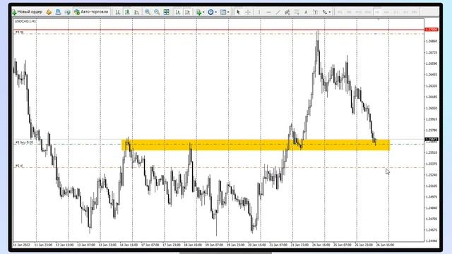 Торговля Форекс | $104 на покупке USD/CAD смотреть онлайн
