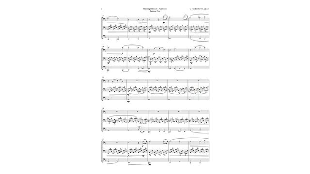 Moonlight Sonata by Beethoven for Bassoon Trio | SHEET MUSIC смотреть онлайн