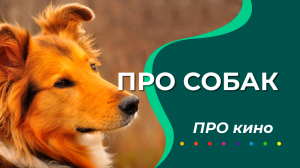 Про кино №1 Про собак