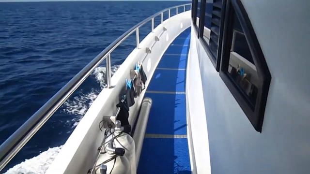 Дайвинг сафари в январе 2012 года на яхте МАЛЬДИВИАНА смотреть онлайн