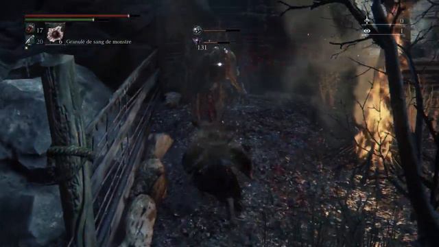 NG5 bloodborne | Starving beast | Chikage build new gems + Beastiality test смотреть онлайн