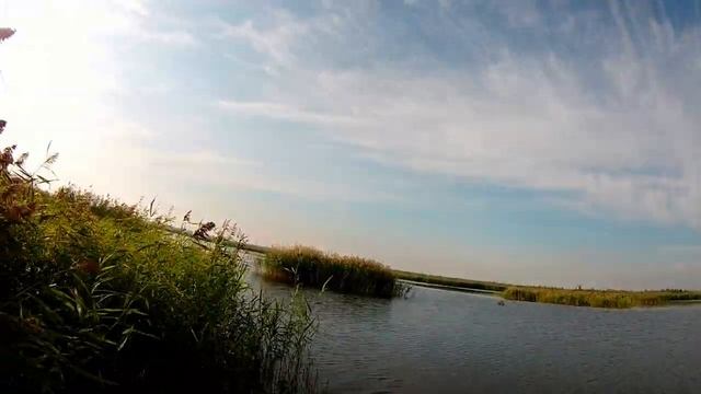 Открытие охоты . Осень 2022. Омская область. смотреть онлайн