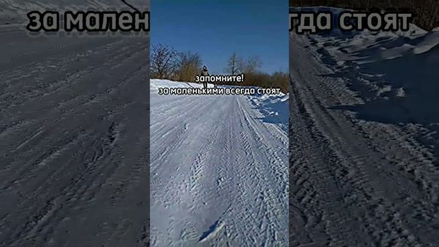 #собака #хаски #дворняга #щенок #друзья смотреть онлайн