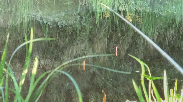 ВСЯ РЫБА КЛЮЁТ НА ЭТО ПО ХОЛОДНОЙ ВОДЕ! смотреть онлайн