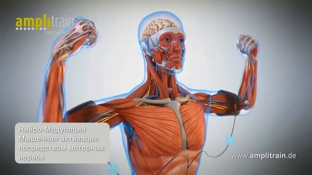 Что такое ЭМС тренировки и как это работает ОТВЕТЫ здесь! смотреть онлайн