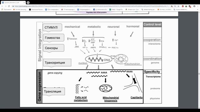 Исследование выносливости смотреть онлайн