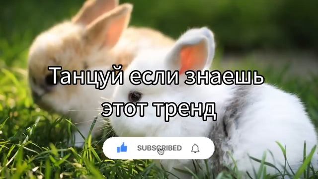 ?Танцуй если знаешь этот тренд тикток тренды 2023года? смотреть онлайн