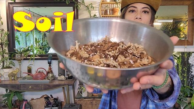 Hoya Walliniana Variegata I Care + Propagation Tips смотреть онлайн