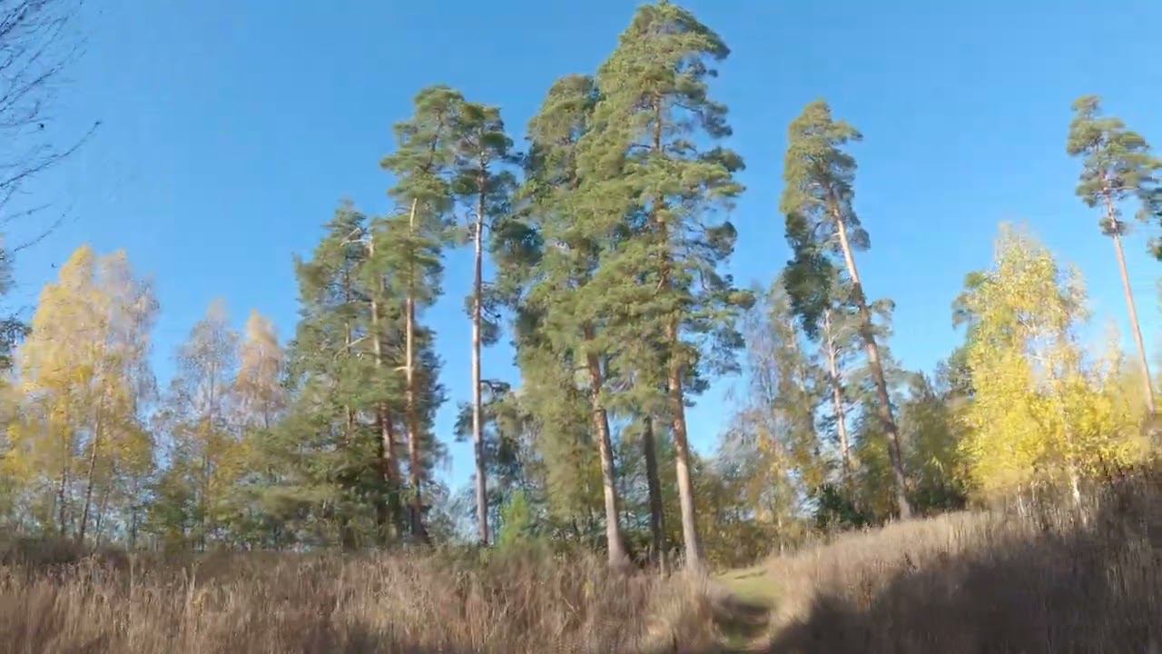 10.10.2022_6 смотреть онлайн