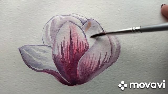 Как нарисовать магнолию акварелью смотреть онлайн
