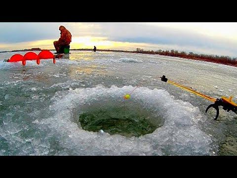 ТОЛЬКО УСПЕВАЙ ОПУСКАТЬ!!! ПОЙМАЛ РЫБУ НА 250.000 ШТРАФА!!! РЫБАЛКА НА ЧЕХОНЬ 2023! смотреть онлайн