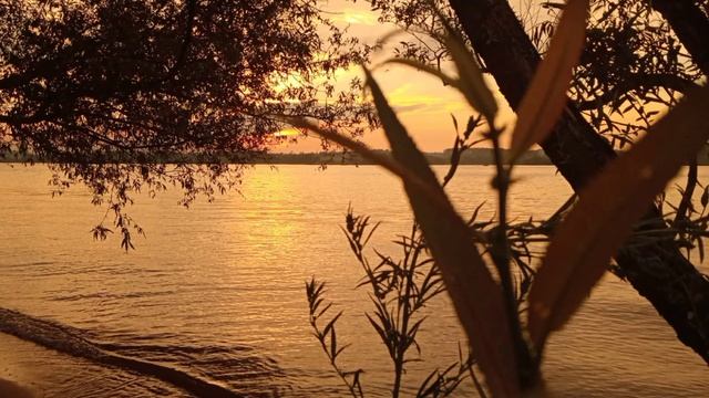 "мы с вами разные" (стихотворение М. Цветаевой) смотреть онлайн