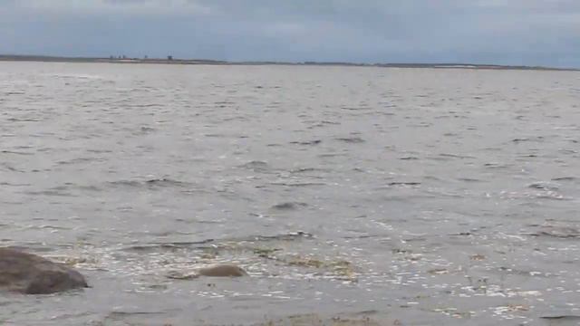 Белое море смотреть онлайн