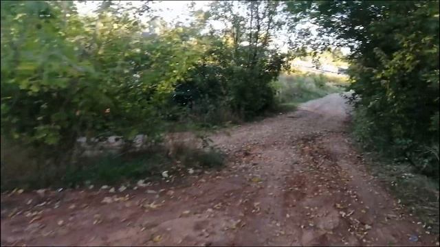 Первый продубас на Зид Пилот с двигателем от питбайка 190сс. смотреть онлайн