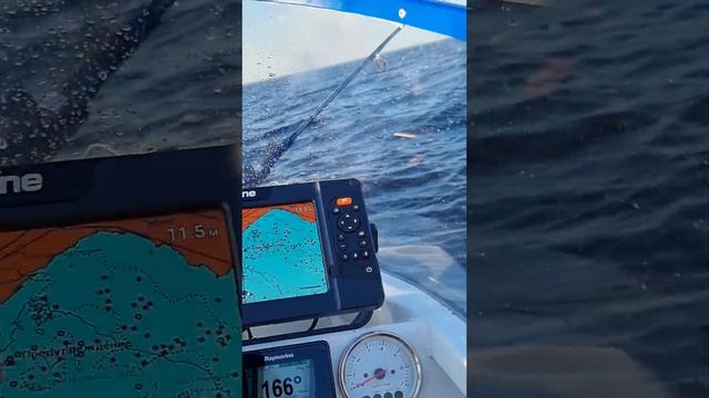 Кайфую! !Тролинг на автопилоте! смотреть онлайн