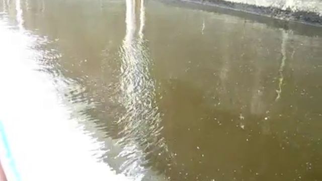 videoplayback32.mp4 смотреть онлайн