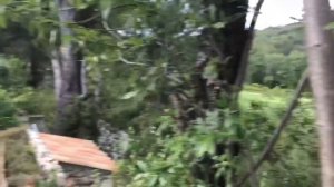 ВЛОГ / В гостях у блогера во Франции / Салат оливье по французки / Головокружительные розы