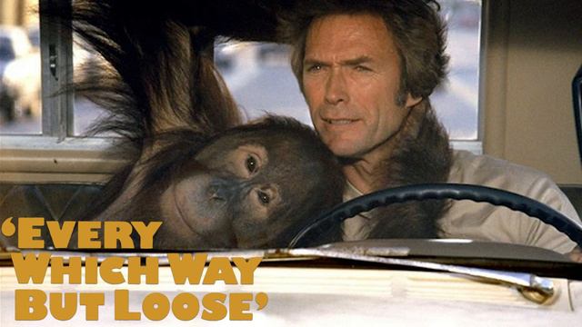 iMusicPlus Theme Music - Every Which Way but Loose, Singer: Eddie Rabbitt смотреть онлайн