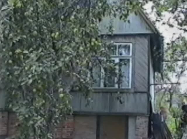 Мишкина дача ё