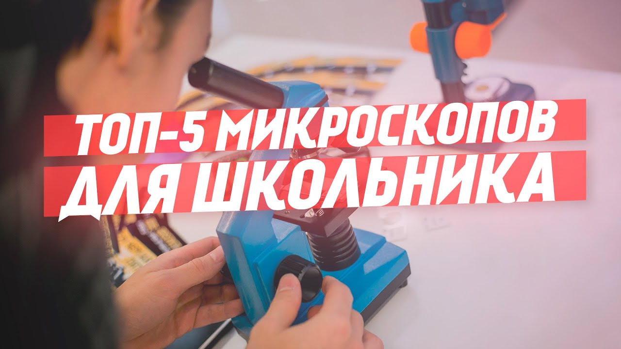 Выбор микроскопа для школьника | ТОП-5 микроскопов смотреть онлайн