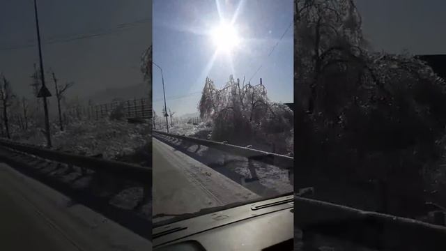 Холодильник Haier C2F637CXRG не отработал и месяца. смотреть онлайн