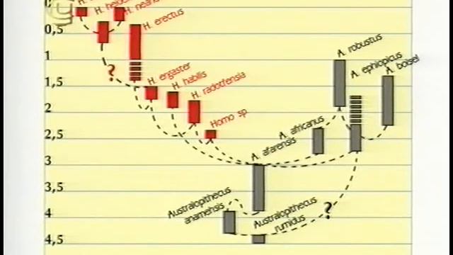 Антропогенез смотреть онлайн