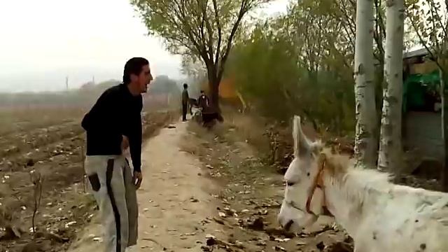 Душевный разговор с ослом. Прикол. смотреть онлайн