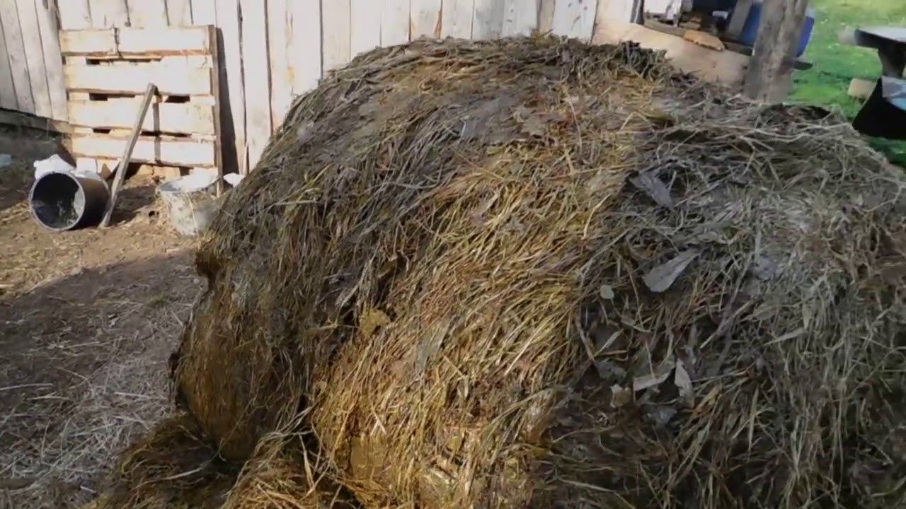 Пробуем СИЛОС сезона 2020г в РУЛОНАХ!! смотреть онлайн