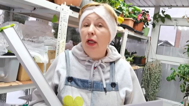 Почему выбираю разные лампы для растений? Мульти, полный и бикорлор спектры для чего нужны? смотреть онлайн