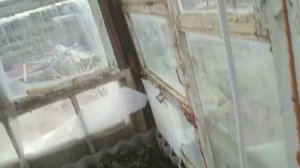 отопление в теплице 100% кпд