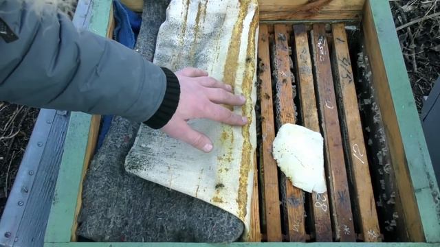 ЗИМНЯЯ ПОДКОРМКА ПЧЕЛ. КОГДА, КАК И ДЛЯ ЧЕГО КОРМИТЬ ПЧЕЛ ЗИМОЙ. смотреть онлайн