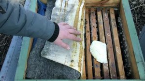 ЗИМНЯЯ ПОДКОРМКА ПЧЕЛ. КОГДА, КАК И ДЛЯ ЧЕГО КОРМИТЬ ПЧЕЛ ЗИМОЙ.