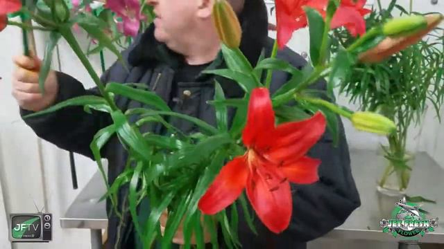 JFTV: Wetter is Better Asiatic & Oriental Super Lilies Spotlight with Mike смотреть онлайн