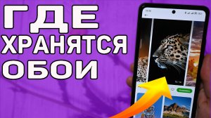 Как сохранить обои из приложения темы? Где хранятся обои в телефоне?