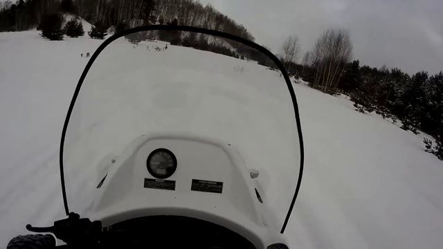 Новогодние покатушки на снегоходе