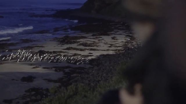 Guided Ranger Tour смотреть онлайн