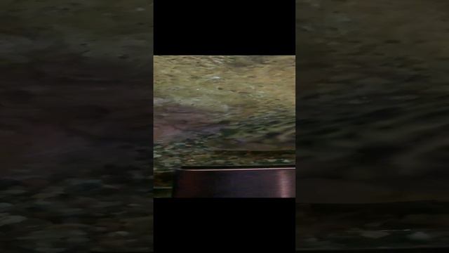 Я убегаю от юлирыба смотреть онлайн