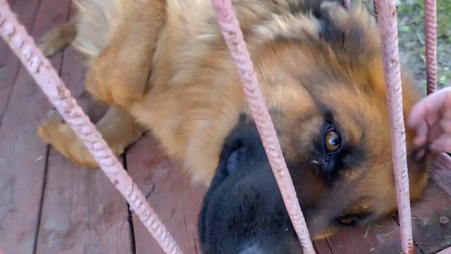 В гостях у Иланы... и не только... смотреть онлайн