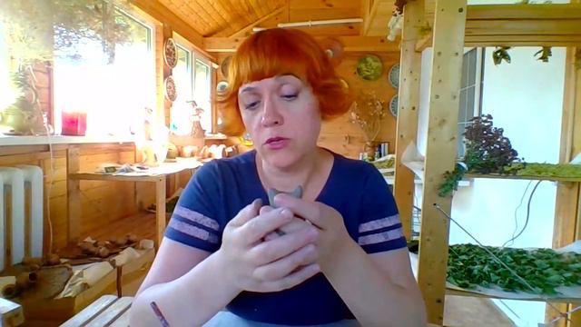 Тема котиков должна быть раскрыта смотреть онлайн