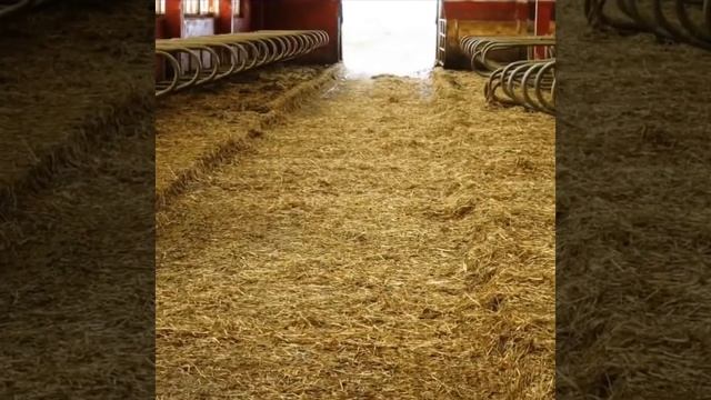 ИГК-5М Измельчитель рулонов грубых кормов смотреть онлайн