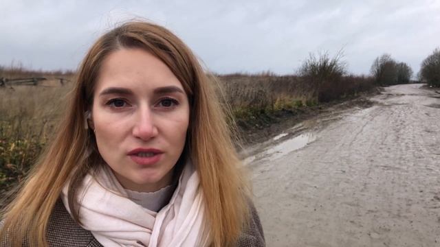 Даже Mr. Proper не помог смотреть онлайн