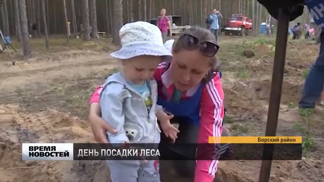 Бо­лее 800 ты­сяч де­ре­вьев вы­са­же­но в День по­сад­ки ле­са смотреть онлайн
