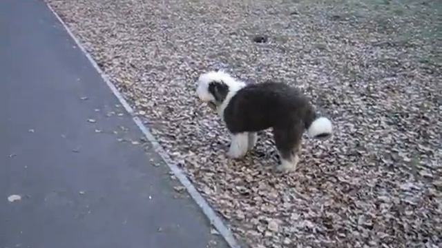 Ляля. Октябрь 2010г. смотреть онлайн